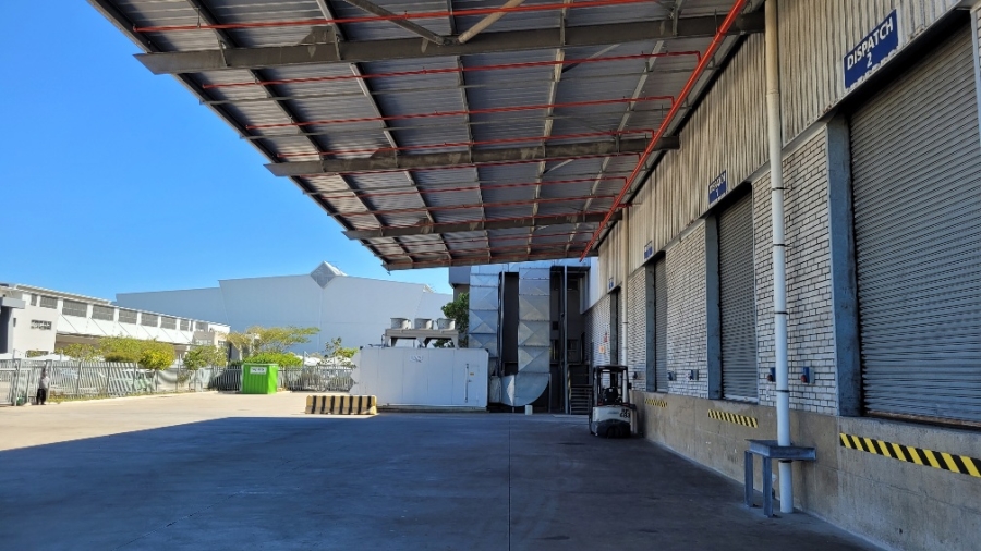 To Let commercial Property for Rent in Montague Park Western Cape